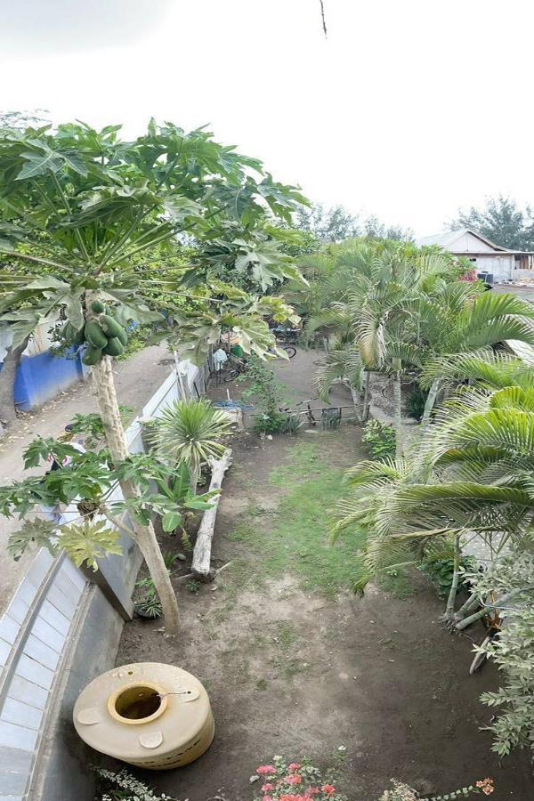 Sagita Bungalow Gili Trawangan Dış mekan fotoğraf